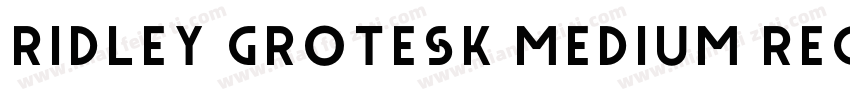 Ridley Grotesk Medium Regular字体转换